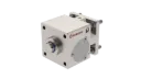 WINMAN WI-RDLCK Series Pneumatic Cylinder Rod Lock