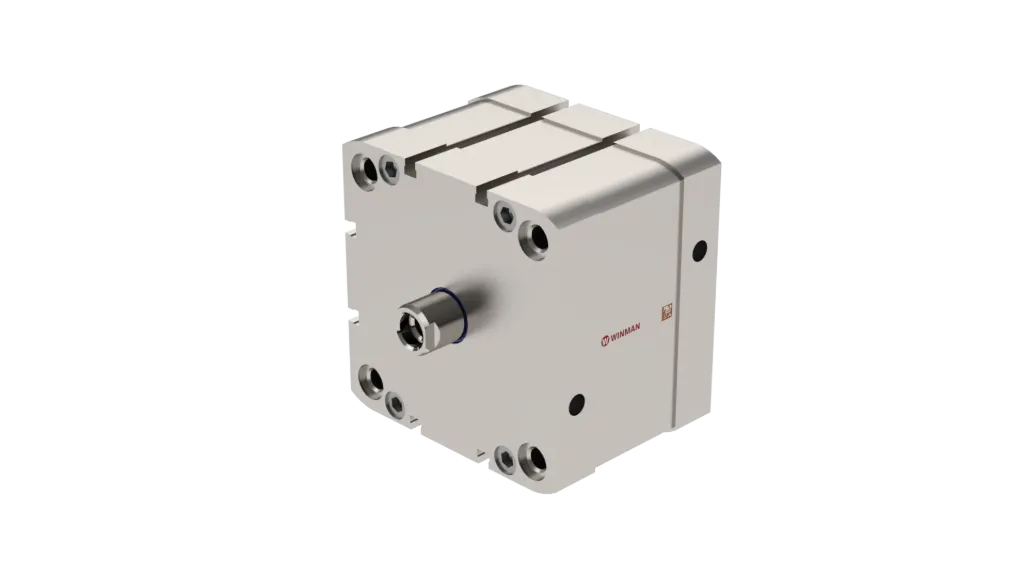 WINMAN WPCX-100 KOMPAKT PNÖMATİK SİLİNDİR